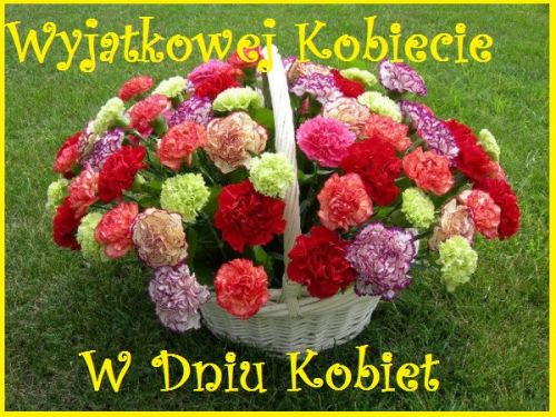 Kwiaty zebrane w ogrodzie na dzień kobiet